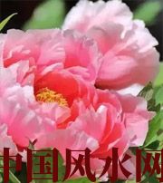 海南预示你财运上升，姻缘可成的梦境，快来看看吧！