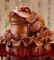 海南解读金蟾最合适的位置，这样摆放更招财！